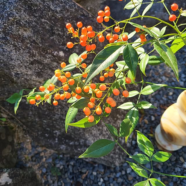 Rubiconさんの部屋