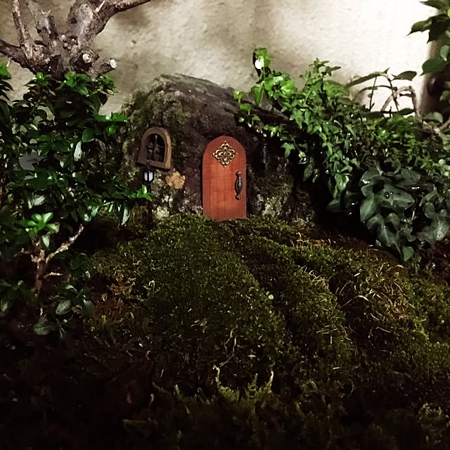 tomo1228さんの実例写真