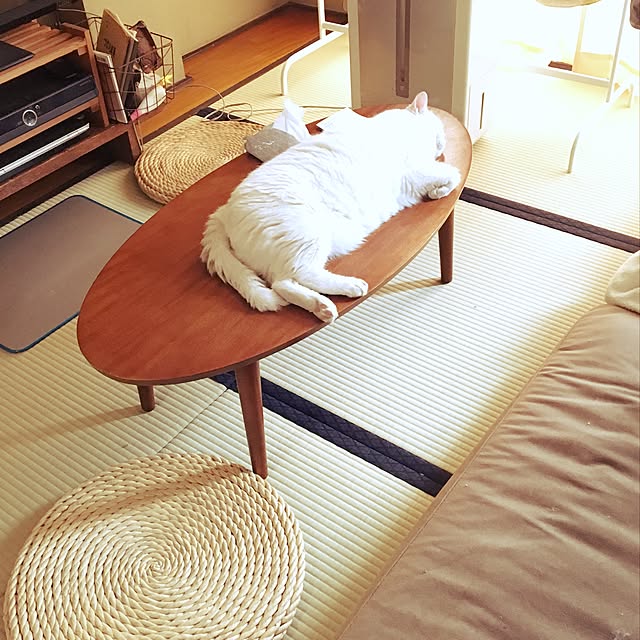 matatabi88さんの実例写真