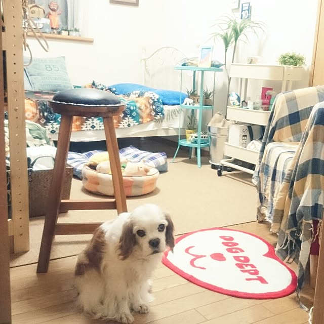 yukaさんの実例写真