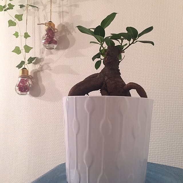 Miyoさんの実例写真