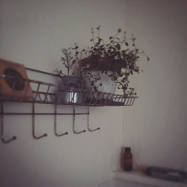 miyoさんの実例写真
