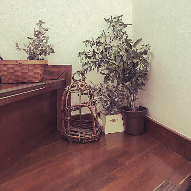 Yuhmamaさんの実例写真