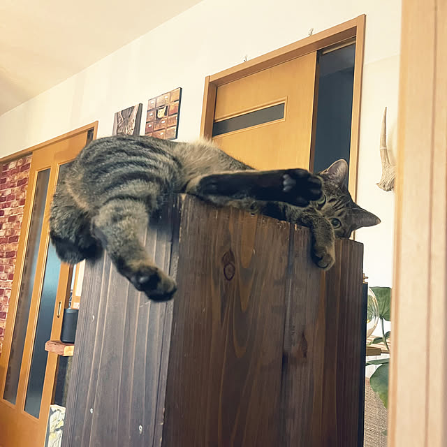 Mさんの実例写真