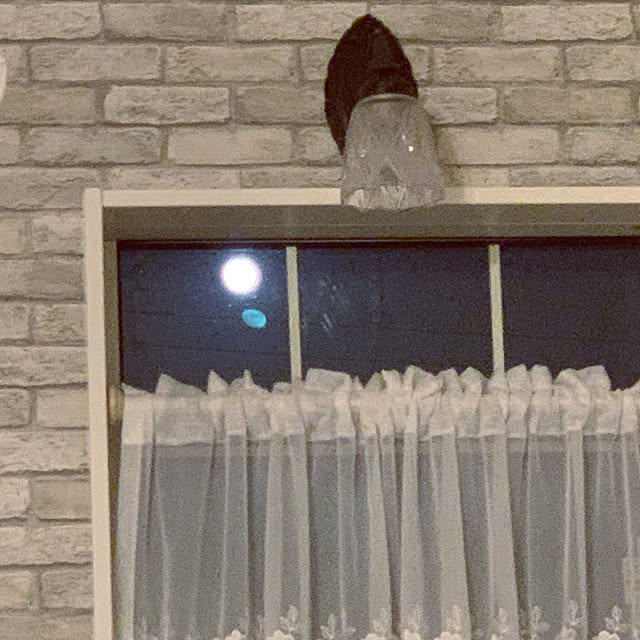 birdさんの実例写真