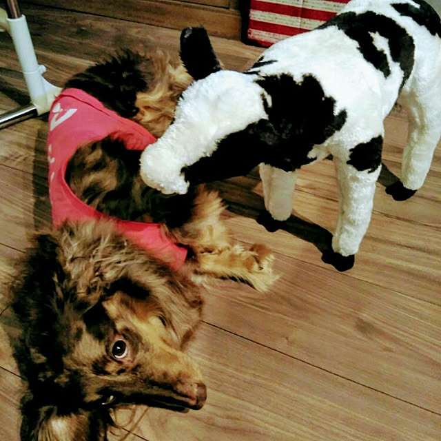 miyonさんの実例写真