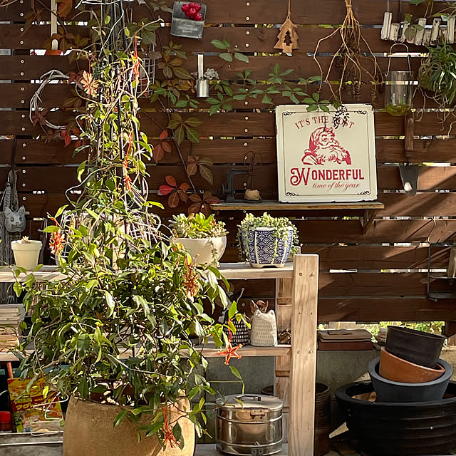 nobikoさんの実例写真