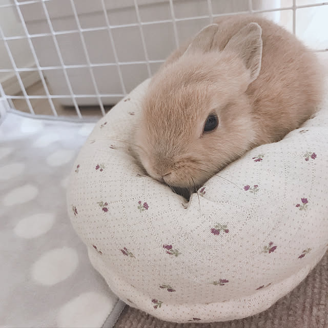 maaさんの実例写真