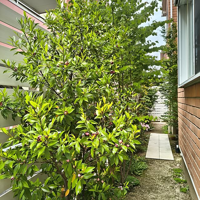 monchanさんの部屋