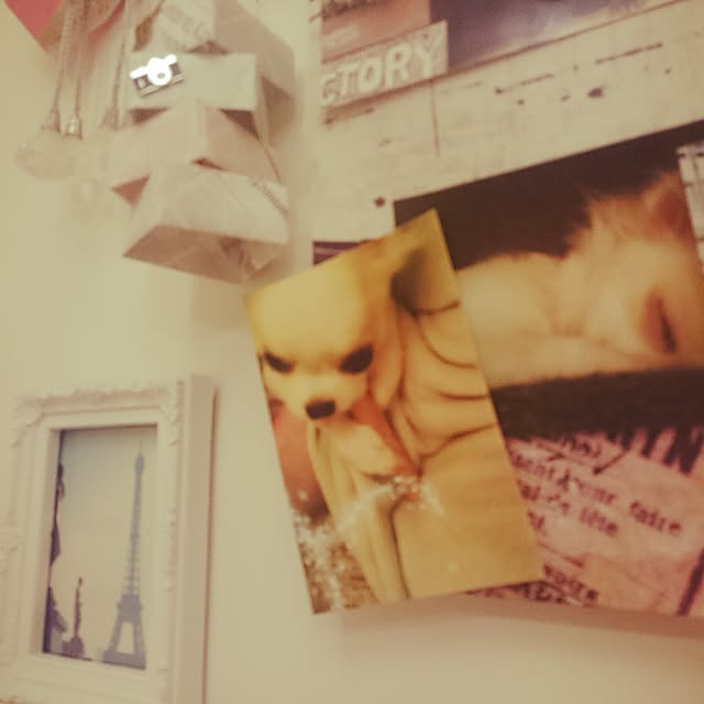 miruさんの実例写真