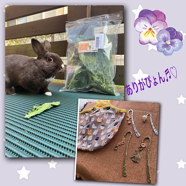 portulacaさんの実例写真