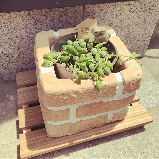 moca.rさんの実例写真