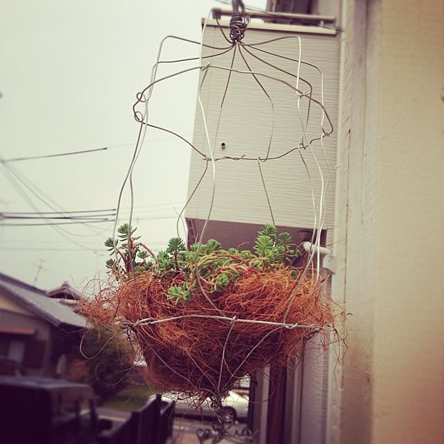 naberiさんの実例写真