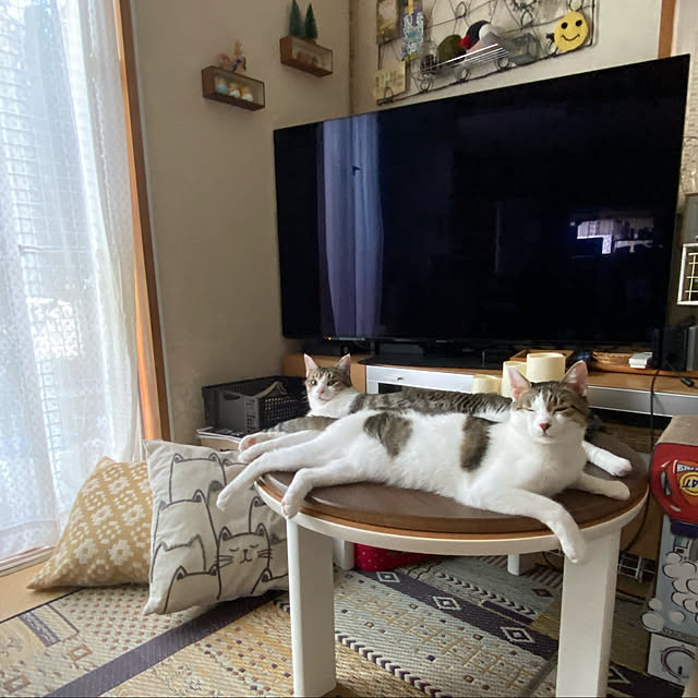 Lufuさんの実例写真