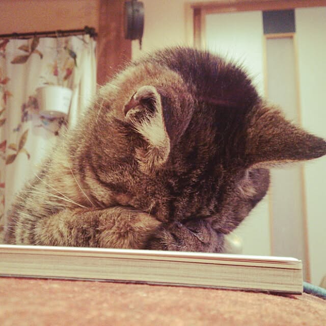 k.namiさんの実例写真