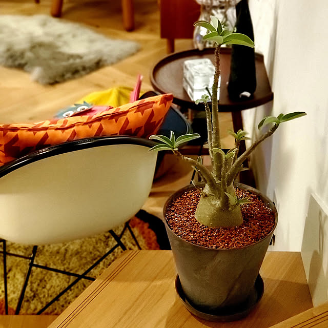 chandong777さんの実例写真