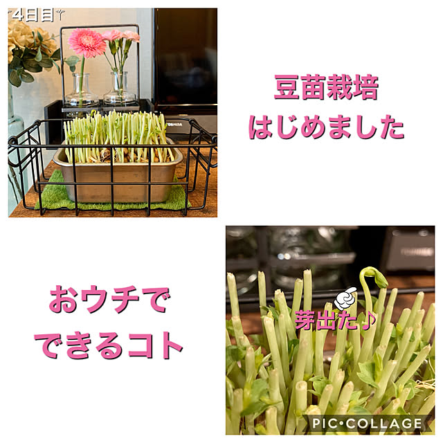 yasuyo66さんの実例写真