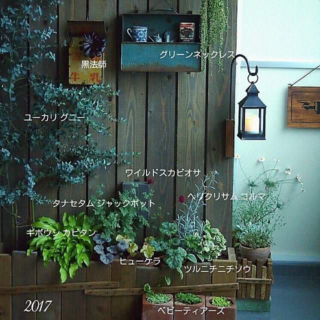 kazafunaさんの実例写真