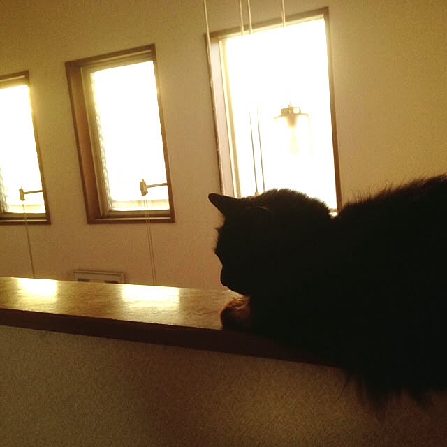 minereaさんの実例写真