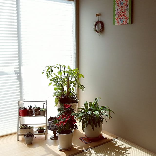mmkitchenさんの実例写真