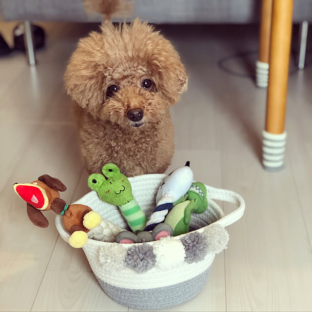 coime.さんの実例写真