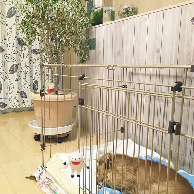 nayutaさんの実例写真