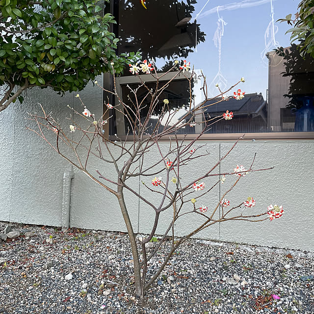 shin0719さんの部屋