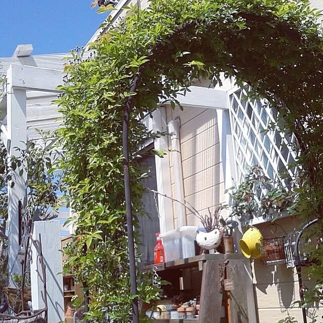 383junkさんの実例写真