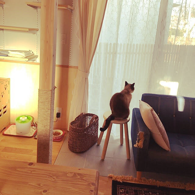 tantan0206さんの実例写真