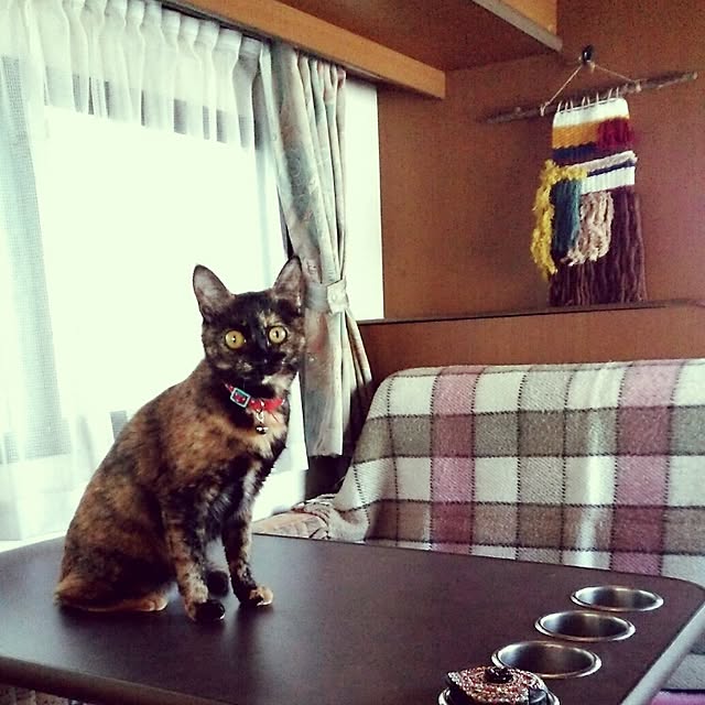 mcomcoさんの実例写真