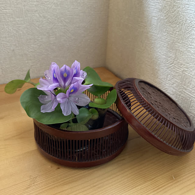 soushiju.さんの実例写真