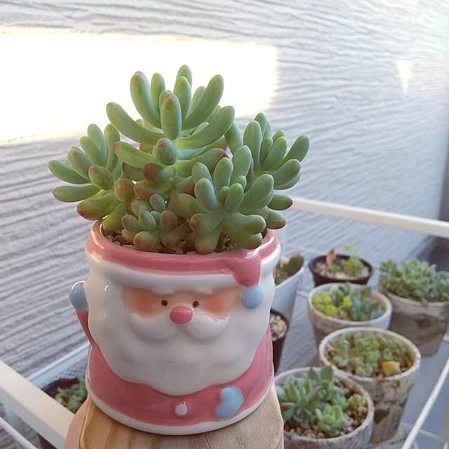 meiさんの部屋