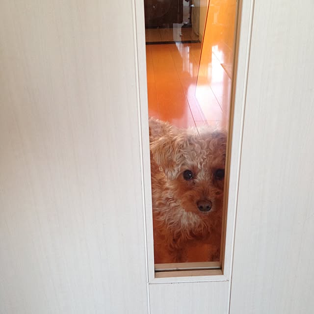 yさんの実例写真