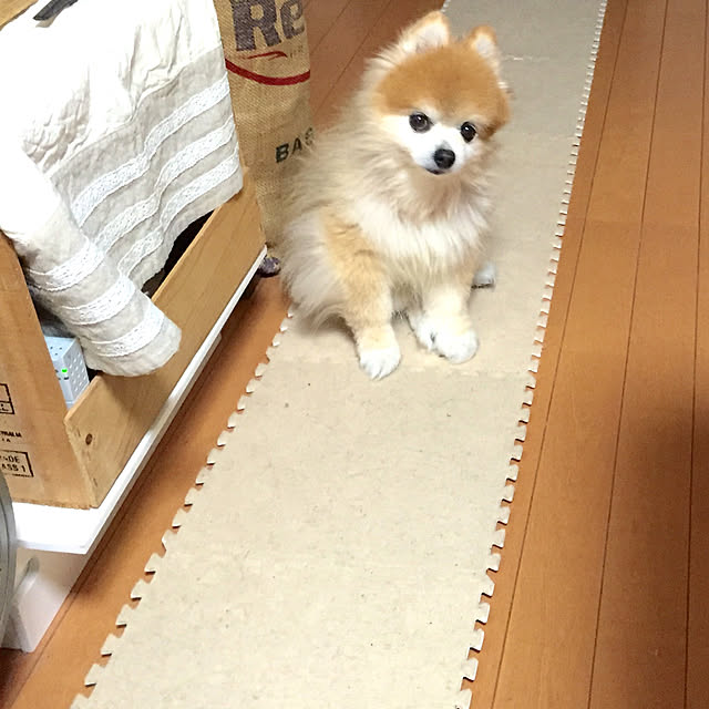 e-aiaiさんの実例写真