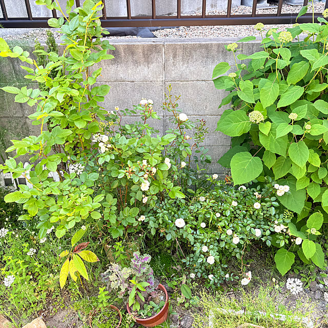 aoi0915さんの部屋