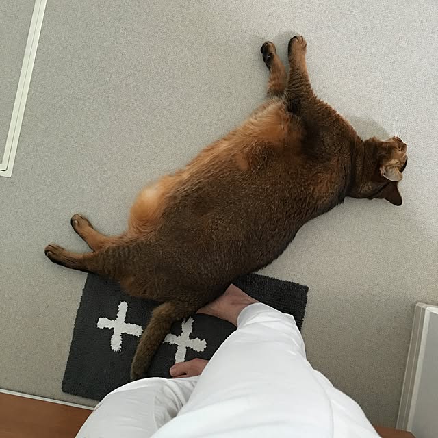 muuさんの実例写真