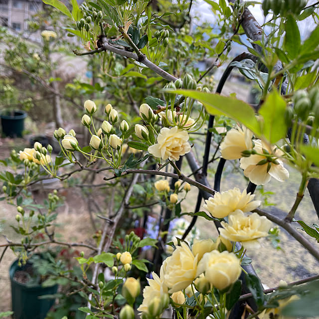 natsumiさんの部屋