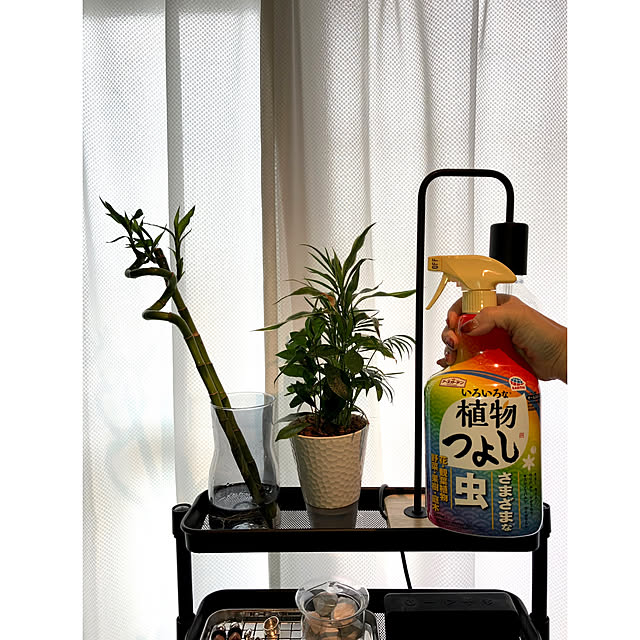 pippiさんの部屋