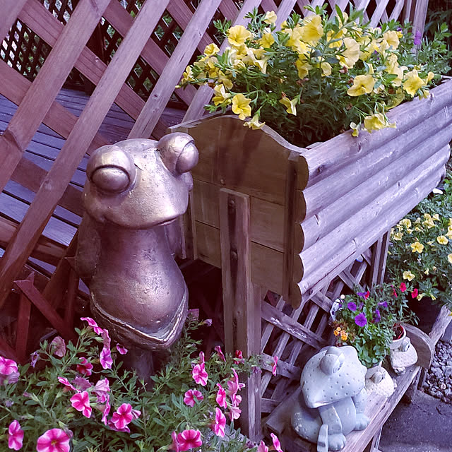 kumutanさんの実例写真