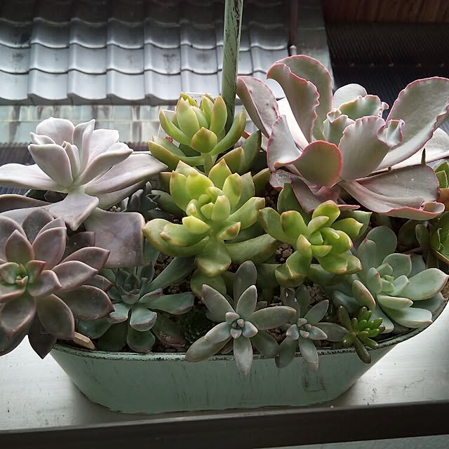 VERANDARJUNさんの実例写真
