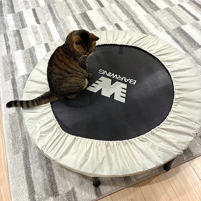 kirinsanさんの実例写真