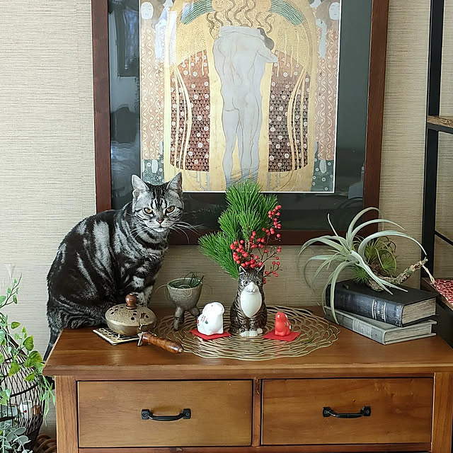 Yoko622さんの実例写真