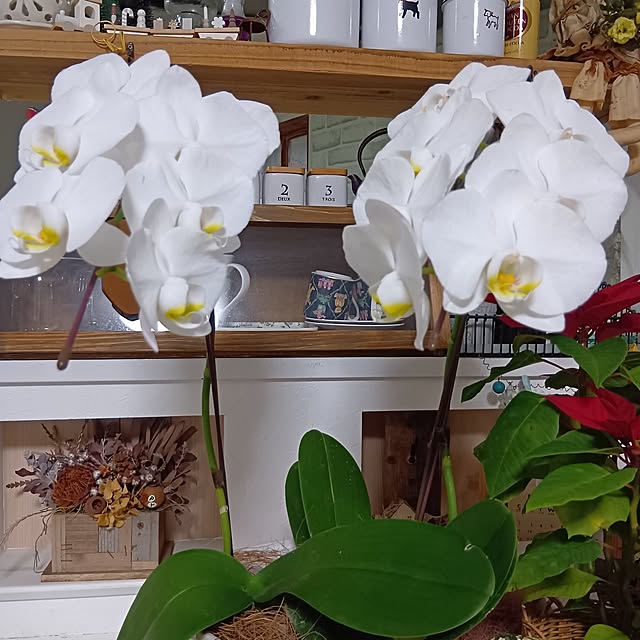 tomomiさんの部屋