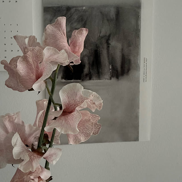 nn-homeさんの部屋