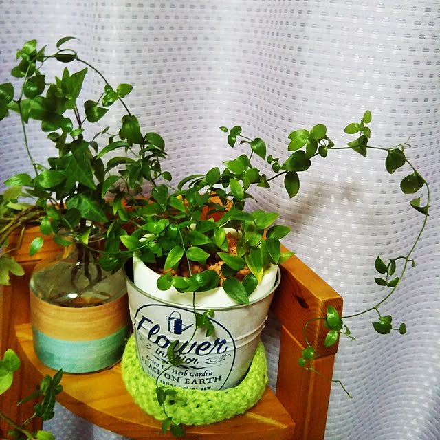 chikoさんの実例写真