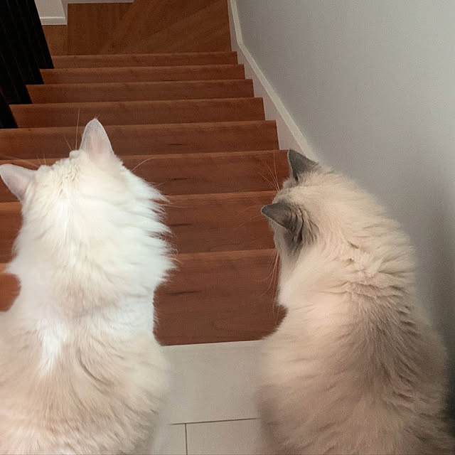 yukiさんの実例写真