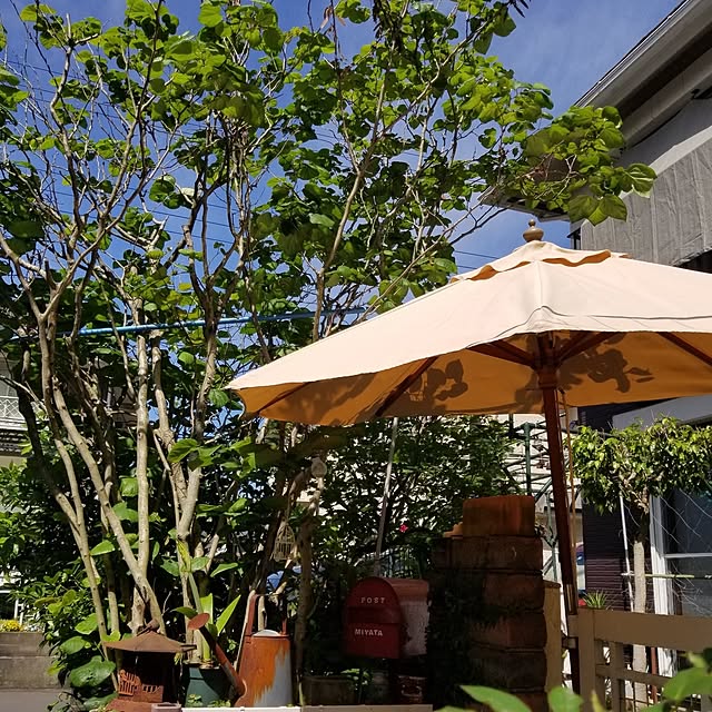 midoriさんの部屋