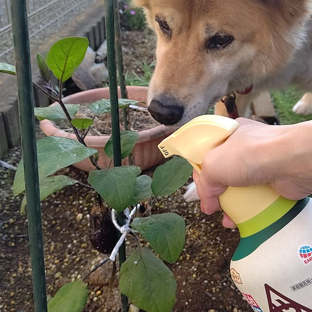 Ri-さんの実例写真