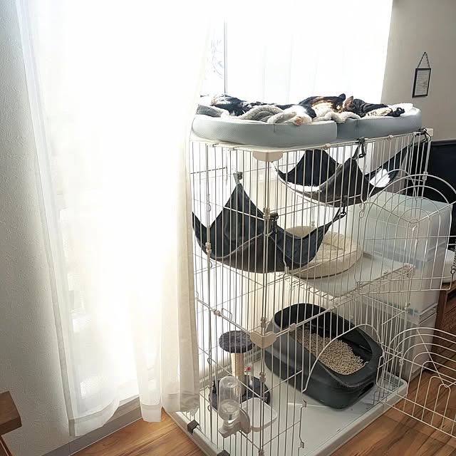 hihaさんの部屋