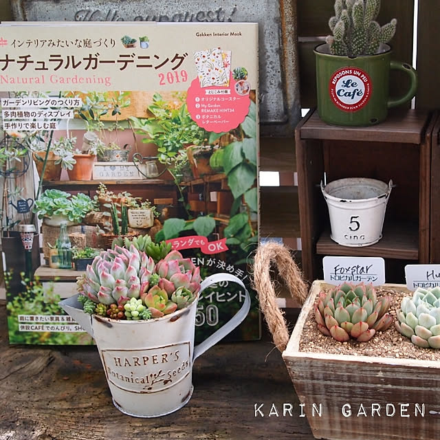 karinさんの実例写真